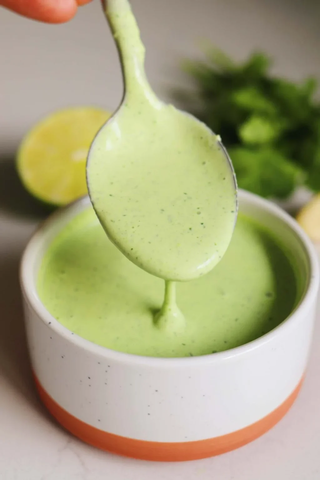 Tropical Grill Garlic Cilantro Sauce: Best Flavor Fiesta!