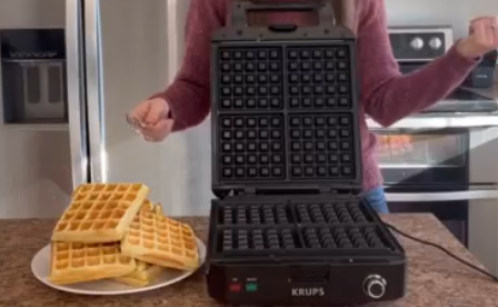 Krups Waffle Maker Instructions